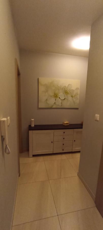 Апартаменти Apartament Szarlotka Єленя-Ґура Екстер'єр фото